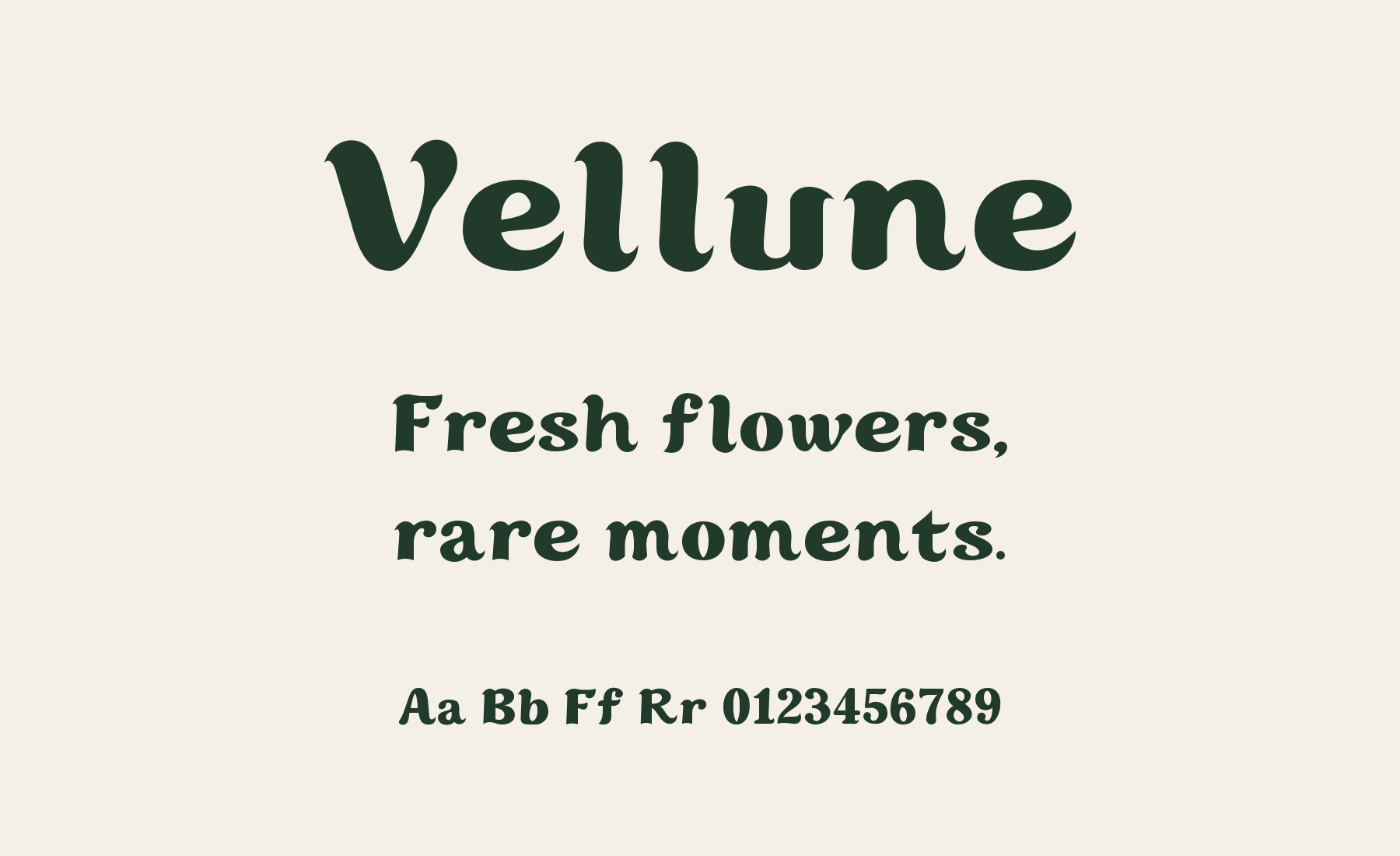 Vellune 실제 폰트 제목과 문장